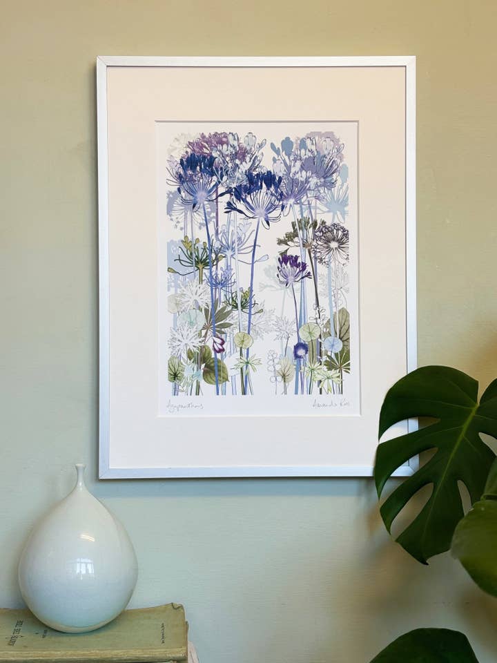 Imprimé Agapanthe pour la vente par Amanda Ross