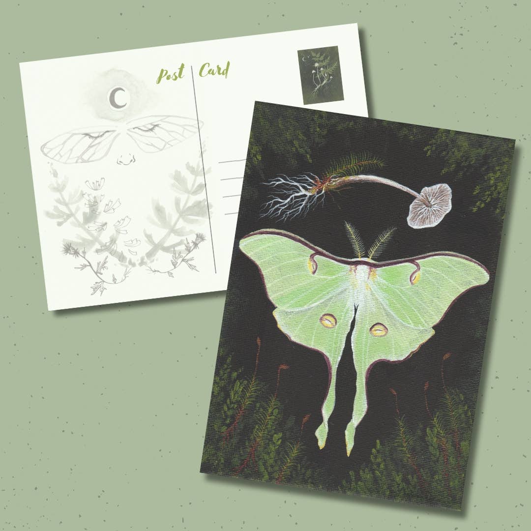 Up Moss Creek Studio - Wholesale Postcard - Luna Moth Postcard 2