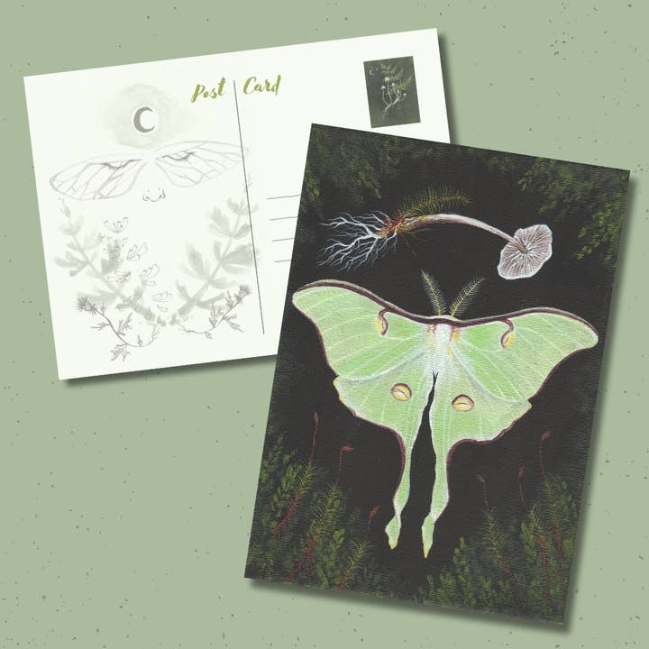 Up Moss Creek Studio - Wholesale Postcard - Luna Moth Postcard 2