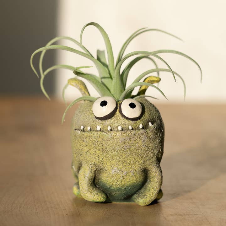 Bloomies Orbit Blobhouse Planter i grønt for engroshandel hos Cohasset Gifts