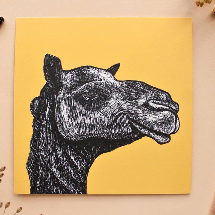 Katja Rub - Wholesale Postcard - Postcard Camel0