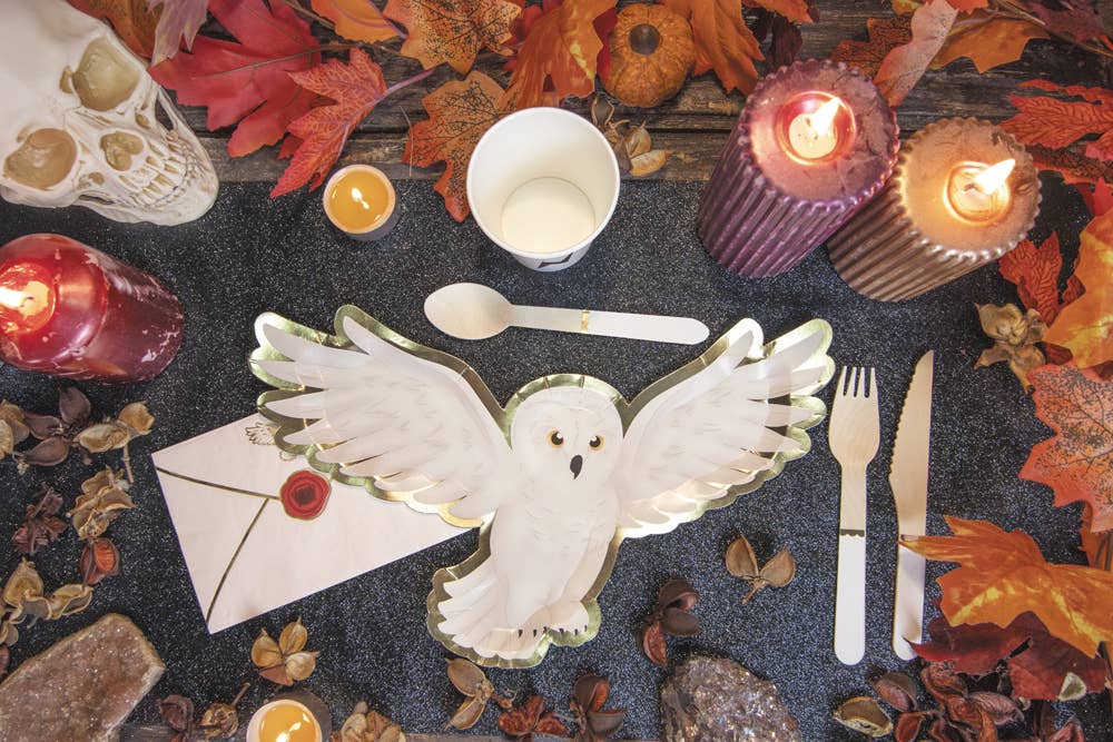 Tim&Puce Factory – Prato descartável por atacado – PLACAS DE ASSISTENTE DE APRENDIZ CORUJA 32CM X 82