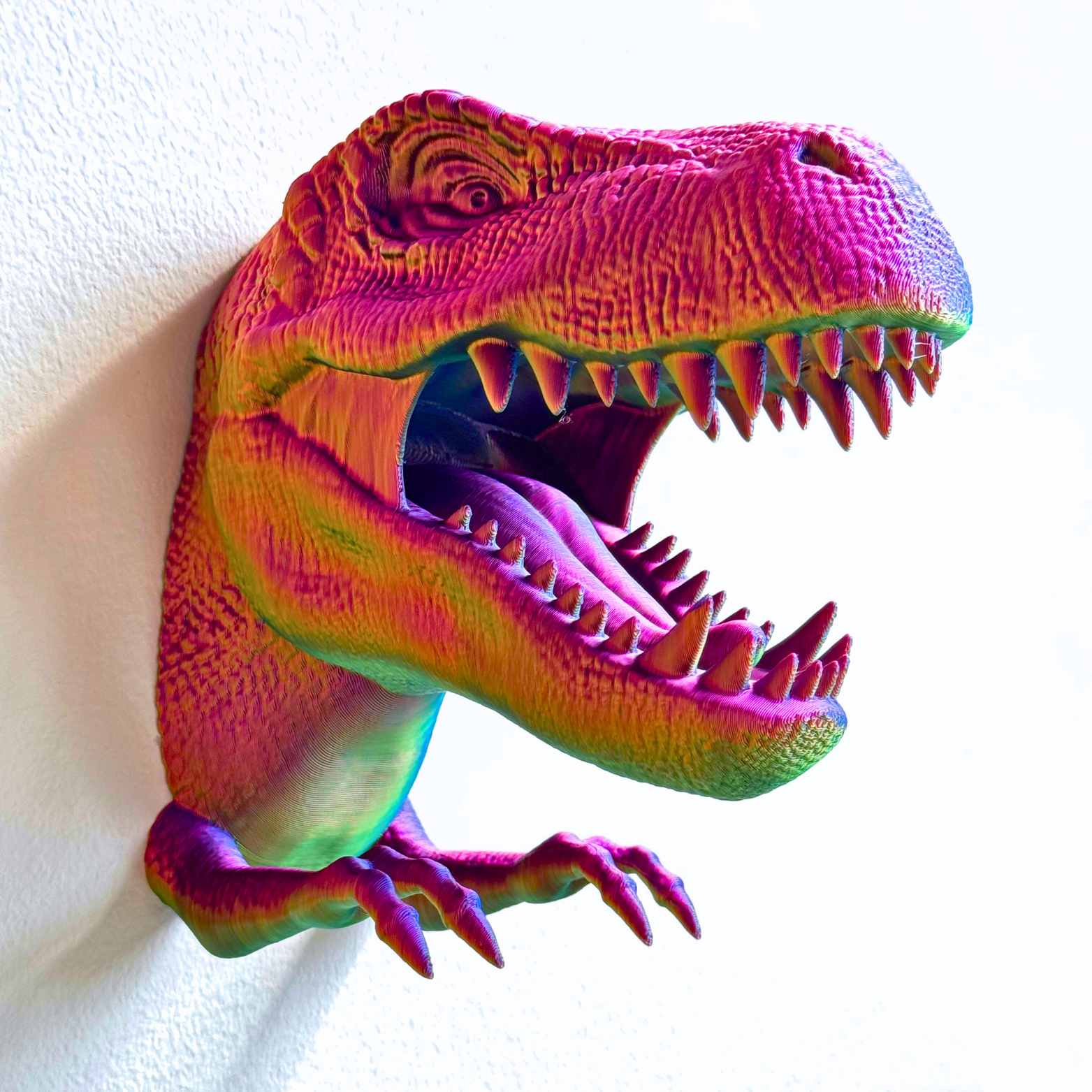 Dragon Fidgets – Großhandel Wanddeko - Kind & Baby – T-Rex Zubehörhalter zur Wandmontage25
