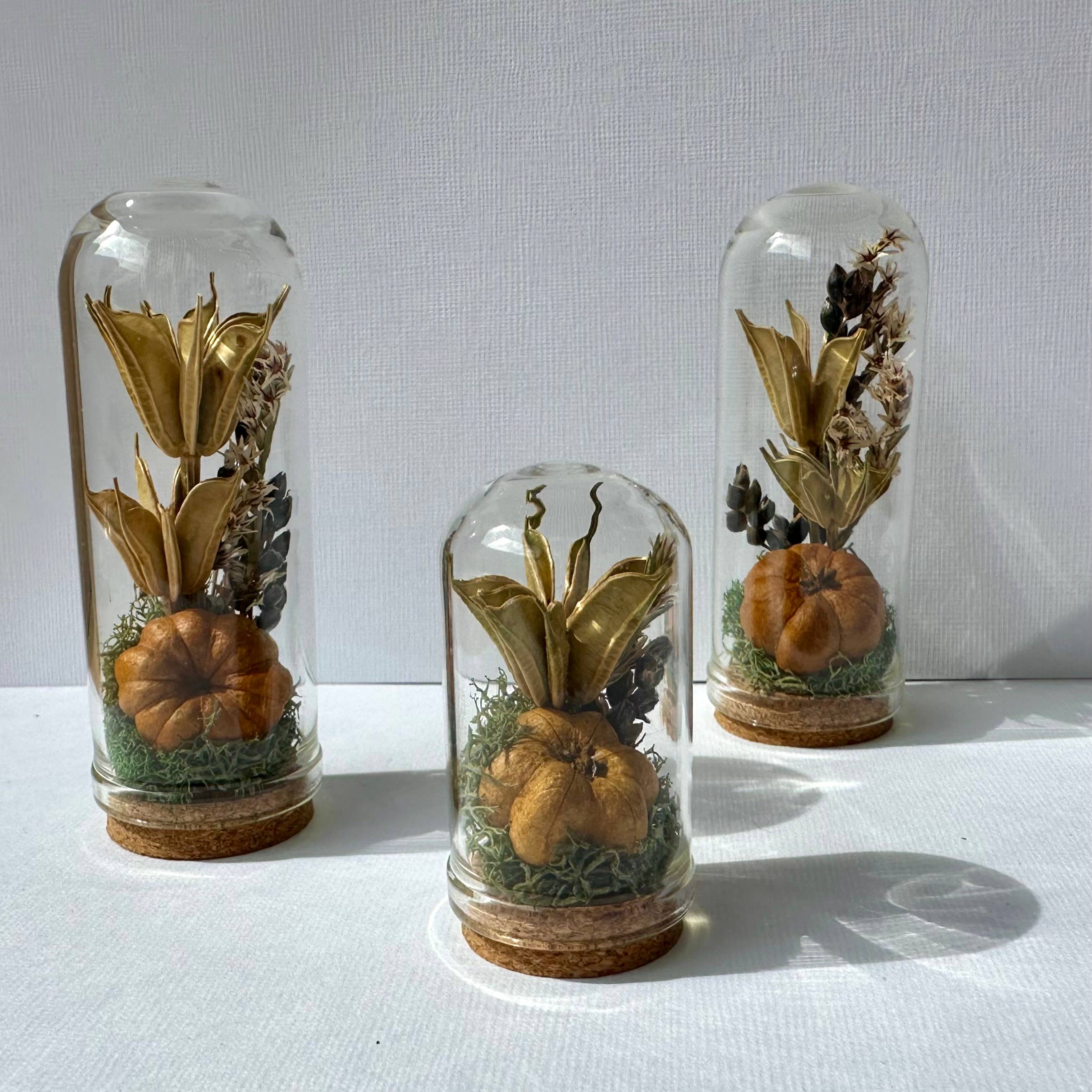 CA Studios - Wholesale Terrarium - Pumpkin Mix Mini Terrarium Potion Jar w Dried Florals9