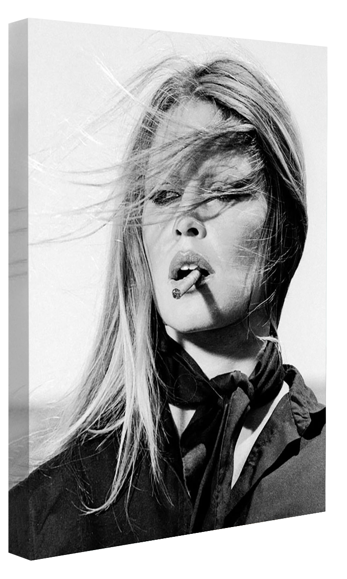BLUE SHAKER - Wholesale Art Print - Portraits (B&W) - Brigitte Bardot Windy0