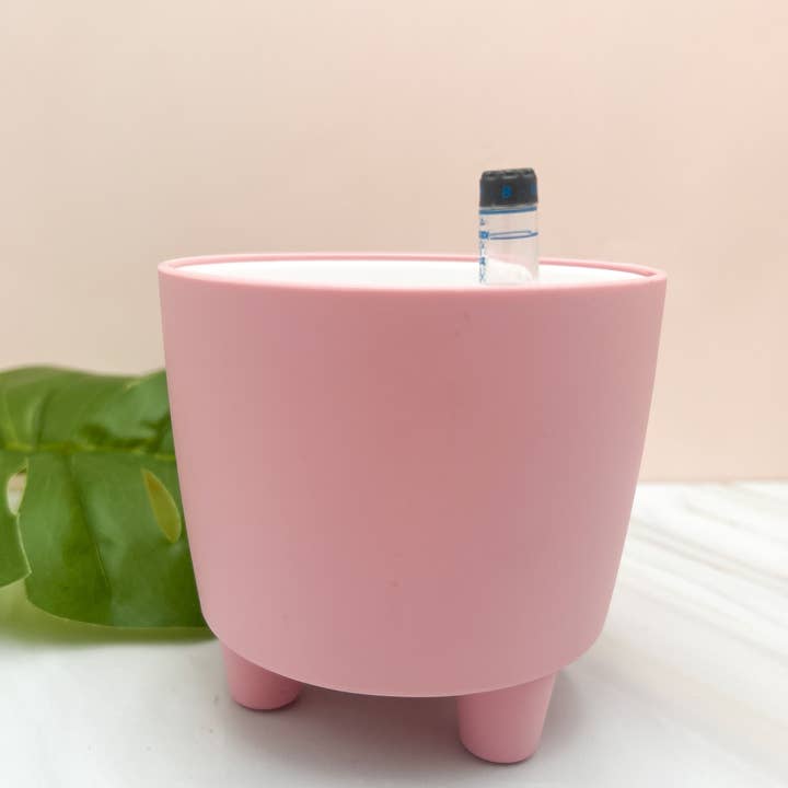 Propagation Diaries - Wholesale Plant Pot - 3” Self Watering Moo Pot10