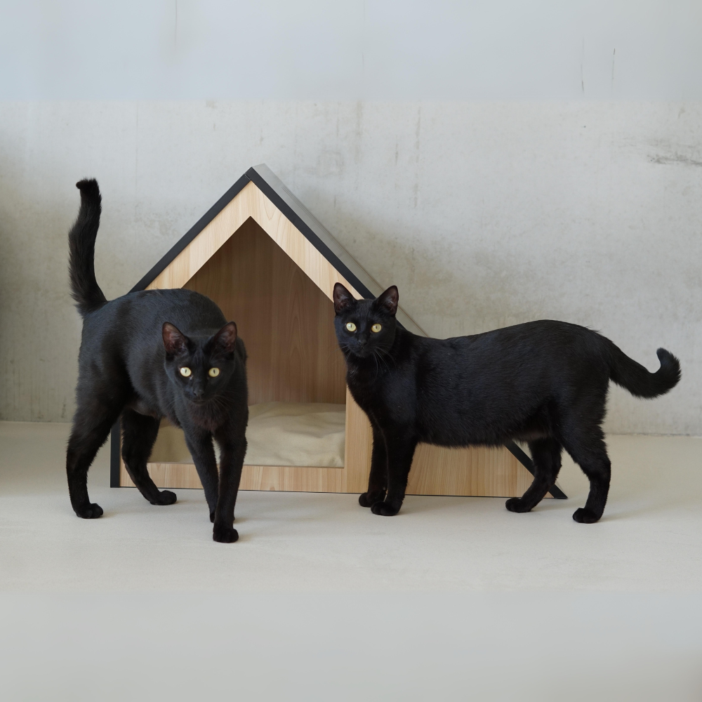 STUDIO ANIMAUX - Wholesale Pet Bed - Cat/Dog - Cat house | wood | black | 75 x 50 x 53 cm9