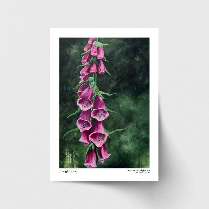 Gants de renard, Écosse, Impression d'art pour la vente par Lizzie Moult