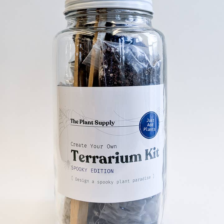 The Plant Supply - Wholesale DIY Craft Kit - Halloween DIY Terrarium | Fall Plant Craft Kit4