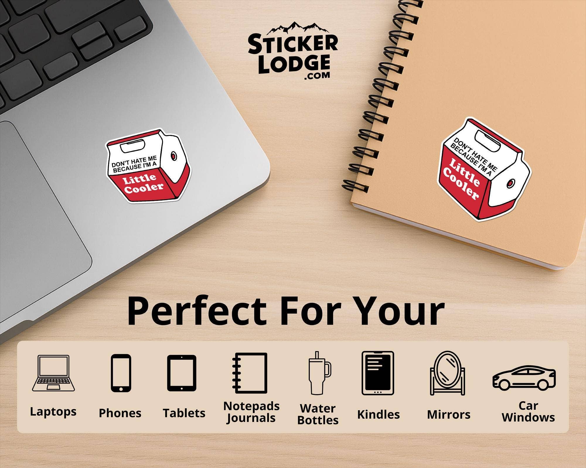 Sticker Lodge - Wholesale Phone & Laptop Stickers - Don't Hate Me Because I'm A Little Cooler Vinyl Sticker2