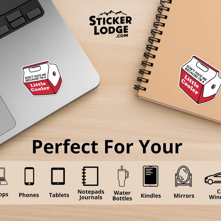 Sticker Lodge - Wholesale Phone & Laptop Stickers - Don't Hate Me Because I'm A Little Cooler Vinyl Sticker2