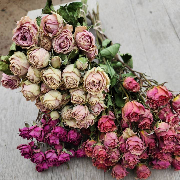 Alissas Flower Farm - Wholesale Dried/Pressed Flowers - Dried Roses, Spray