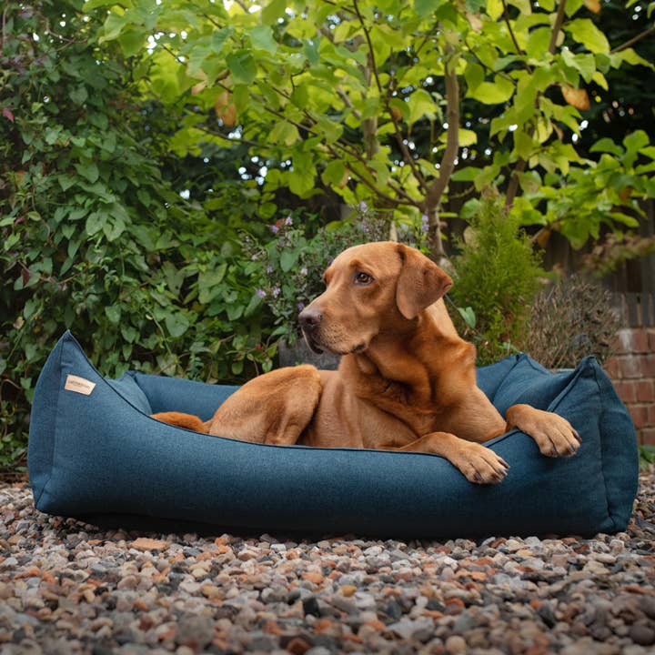 Earthbound Italia - Vendita all'ingrosso Letto - Cani - Cuccia Verde Scuro5