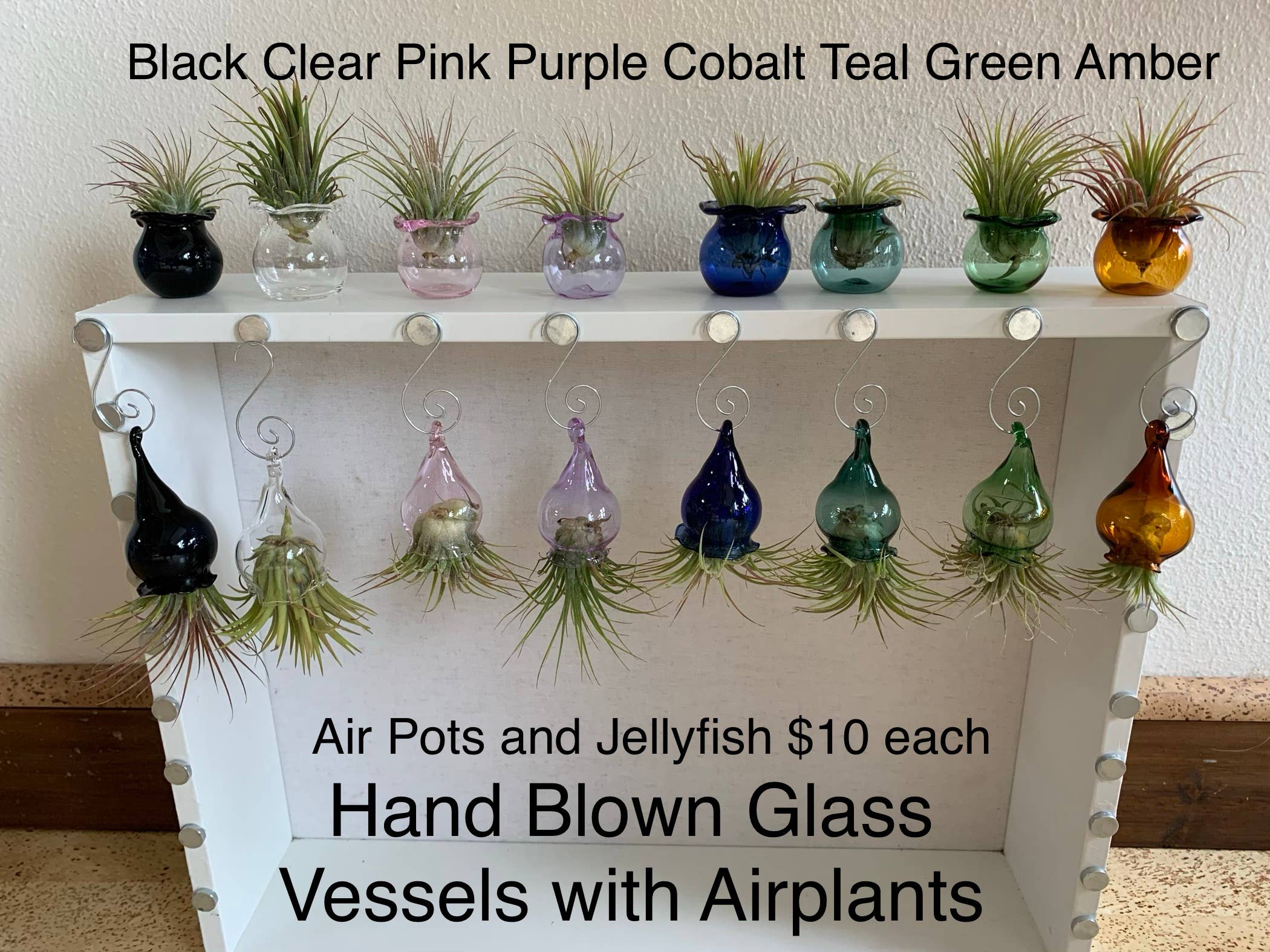 Terrapin Glass Gardens - Wholesale Live Plant - Glass jellyfish vessels with live air plants2