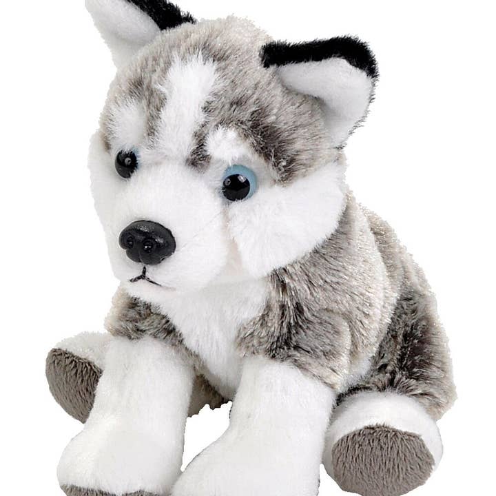 Wild Republic - Wholesale Stuffed/plush toy – Kids & baby - Pocketkins-Eco Dog Husky0