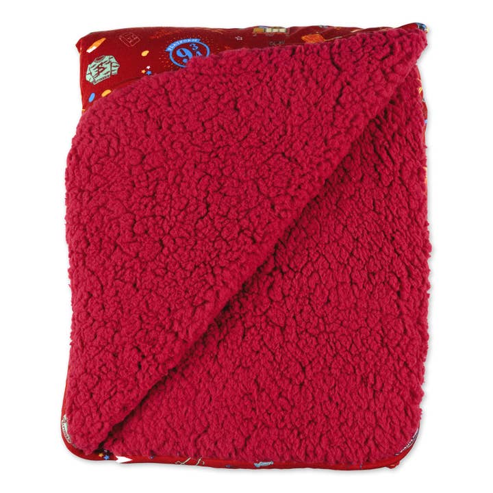 Bellabu Bear - Wholesale Bedding Blanket - Kids & Baby - Harry Potter Hogwarts Express Bamboo Blanket16