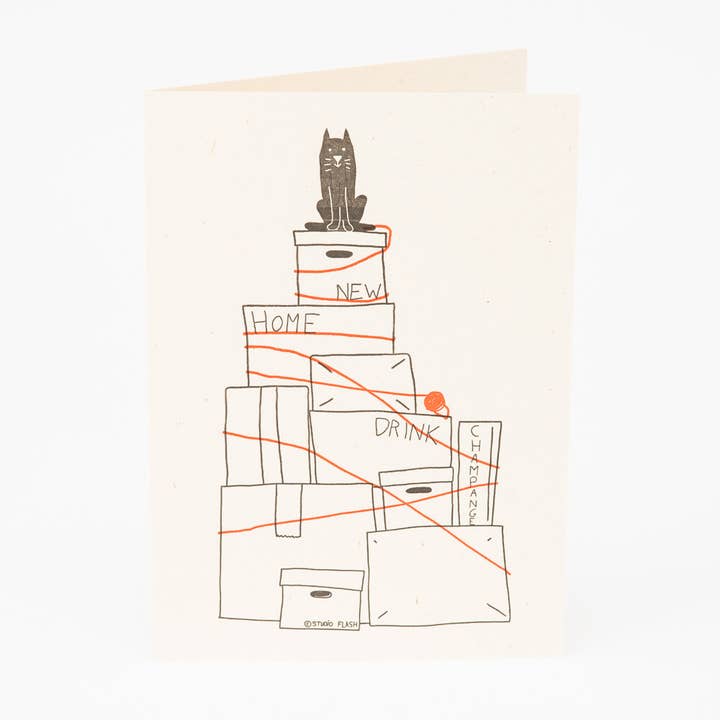 Studio Flash – Großhandel Grußkarten für den Alltag – F-H07 'Die Katze bewegen'