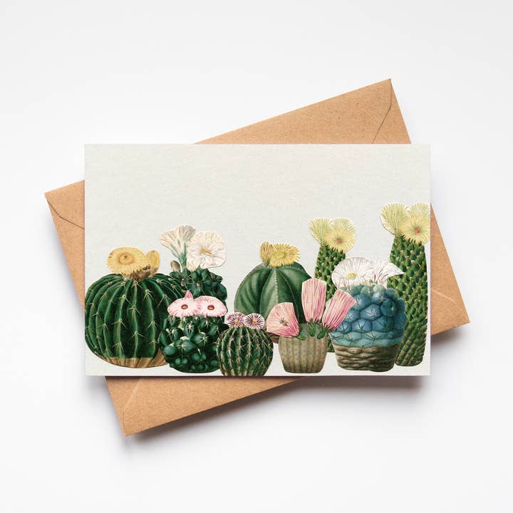 Cactus Garden Greeting Card for wholesale by Cassia Beck