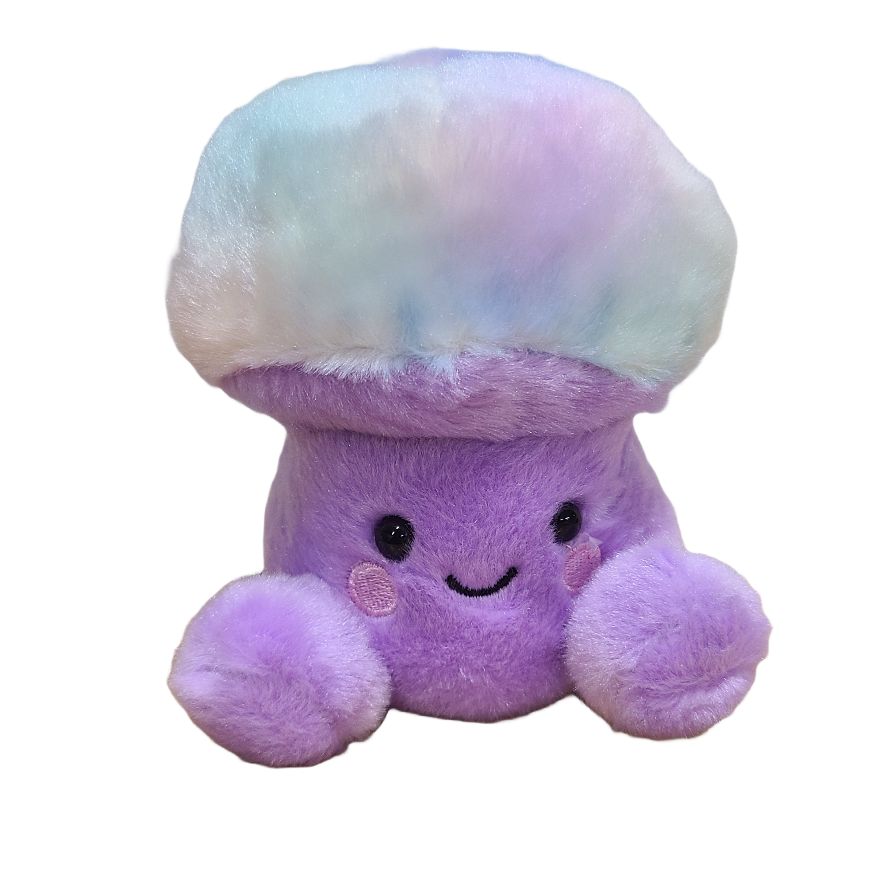 Canned Gifts - Wholesale Gag Gift/Novelty Gift - Canned Mushroom - Ombre Rainbow Mushroom Plush Gift w/Jokes5