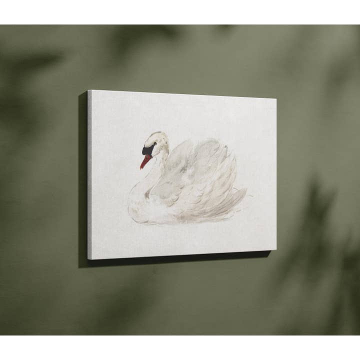 Plumnearly Prints - Wholesale Canvas Art - White Swan Neutral Watercolor Painting Framed Canvas Art 46