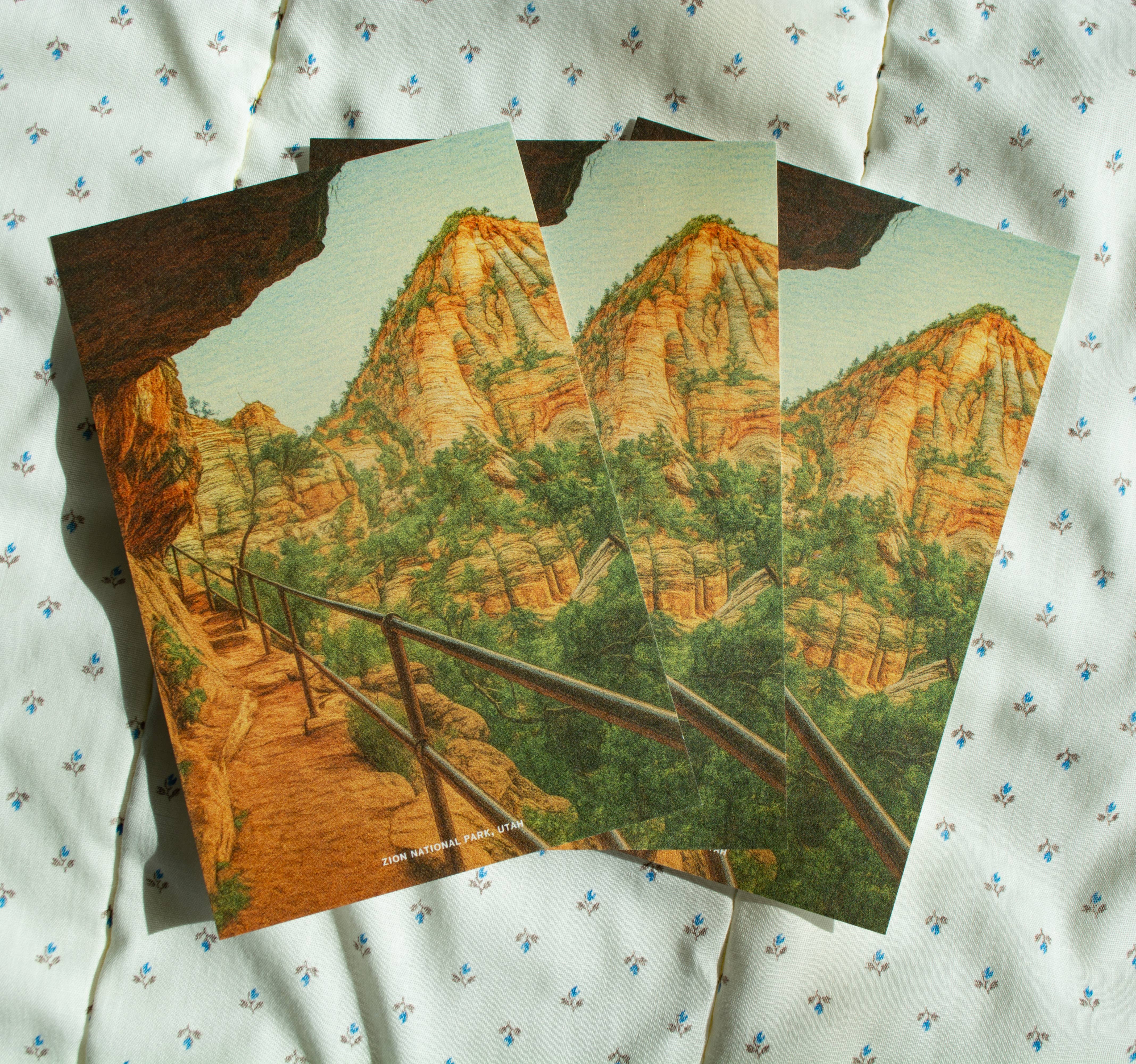 Traildust Goods - Wholesale Postcard - Zion National Park John Muir Vintage Inspired 4x6 Postcards 1