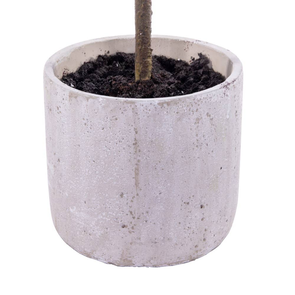 Vickerman 37" Artificial Green Cypress Sapling Potted. for wholesale on Faire2