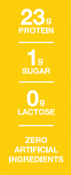 WICKED Protein - Wholesale Protein/Superfood Powder - WICKED Lemonade Clear Whey Isolate Protein Powder (PRE ORDER)3