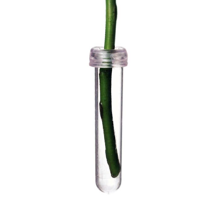 3"L Water Tube Picks - Floral Supply - Bag of 100 for wholesale by Jacobson