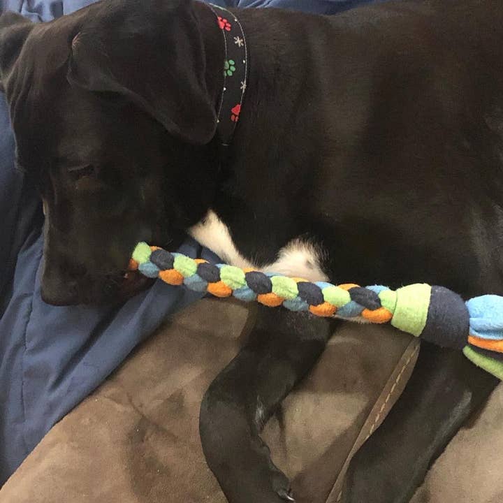 Gunther's Goodies - Wholesale Pet Rope Toy - Dog - Hand Braided, Quad Braid Dog Toys, Pull Toy0