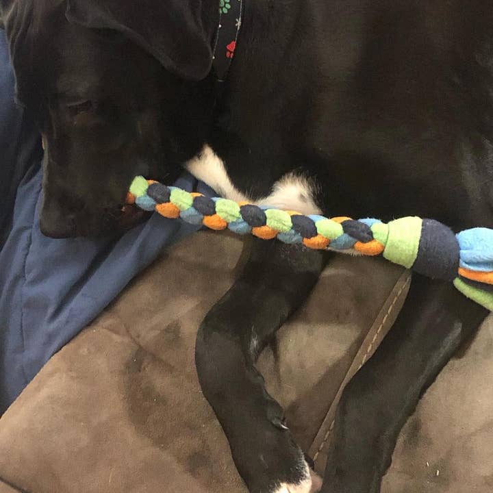 Gunther's Goodies - Wholesale Pet Rope Toy - Dog - Hand Braided, Quad Braid Dog Toys