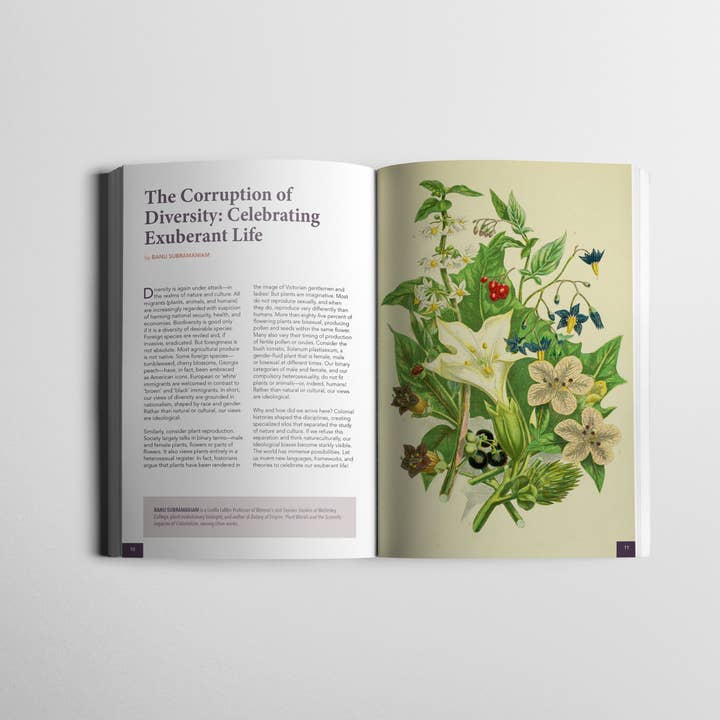 Wild Seed Project - Wholesale Nature and outdoors - Gardening for Biodiversity: Native Plants for the Northeast2