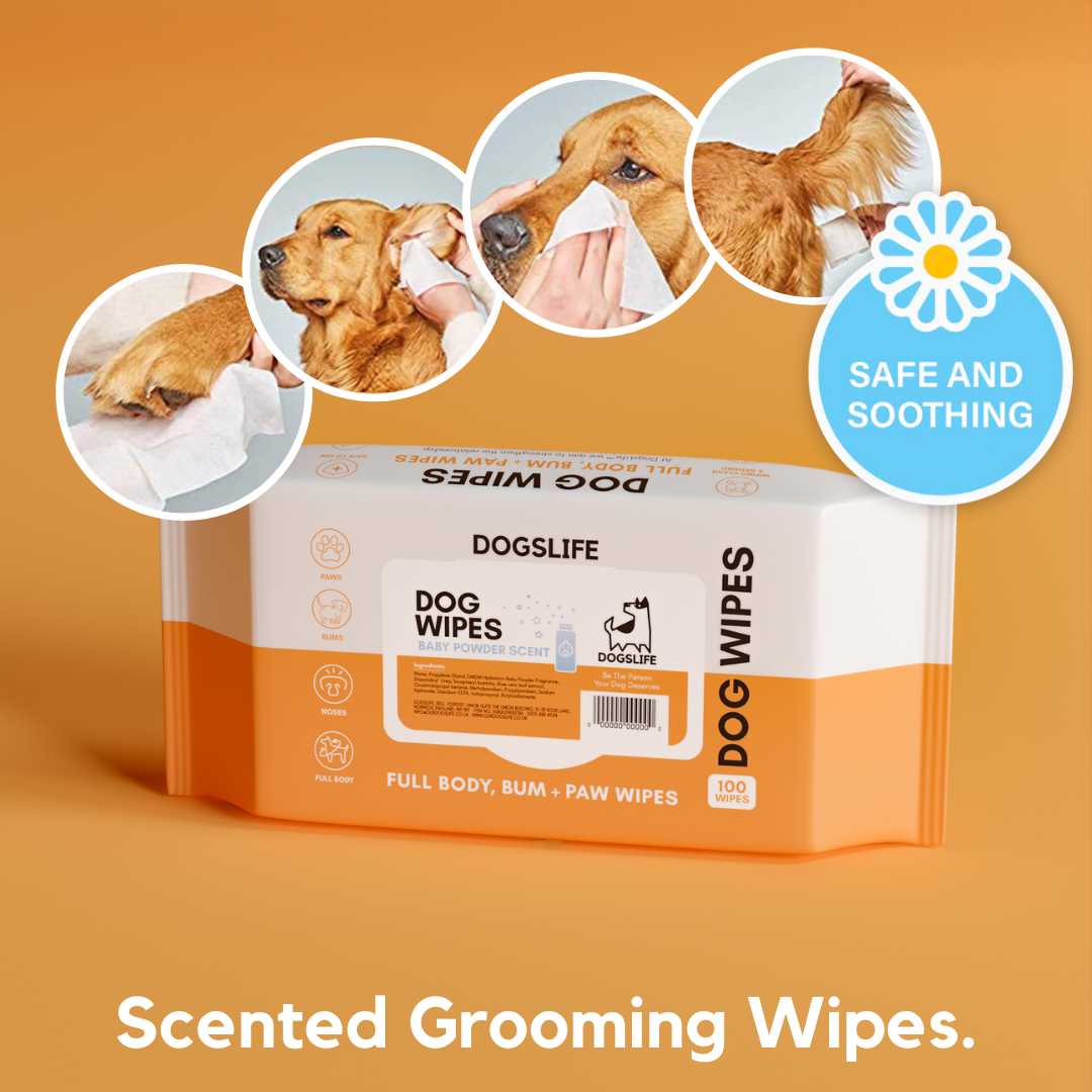 OurPetsLife - Wholesale Pet grooming aid – Dog - Scented Dog Wipes14