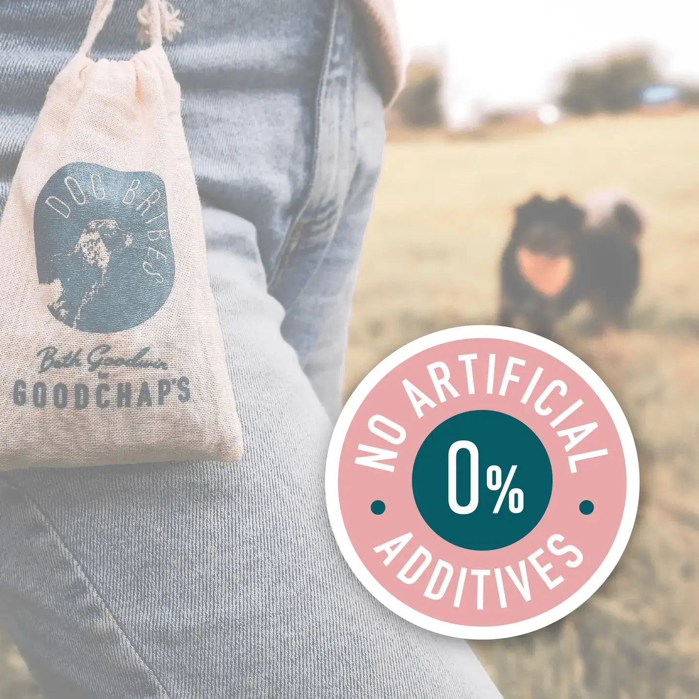 Goodchap's – wholesale Pet treats – Dog – Lil' Scamp's Fish Bites | CDU of 10 Packs 9