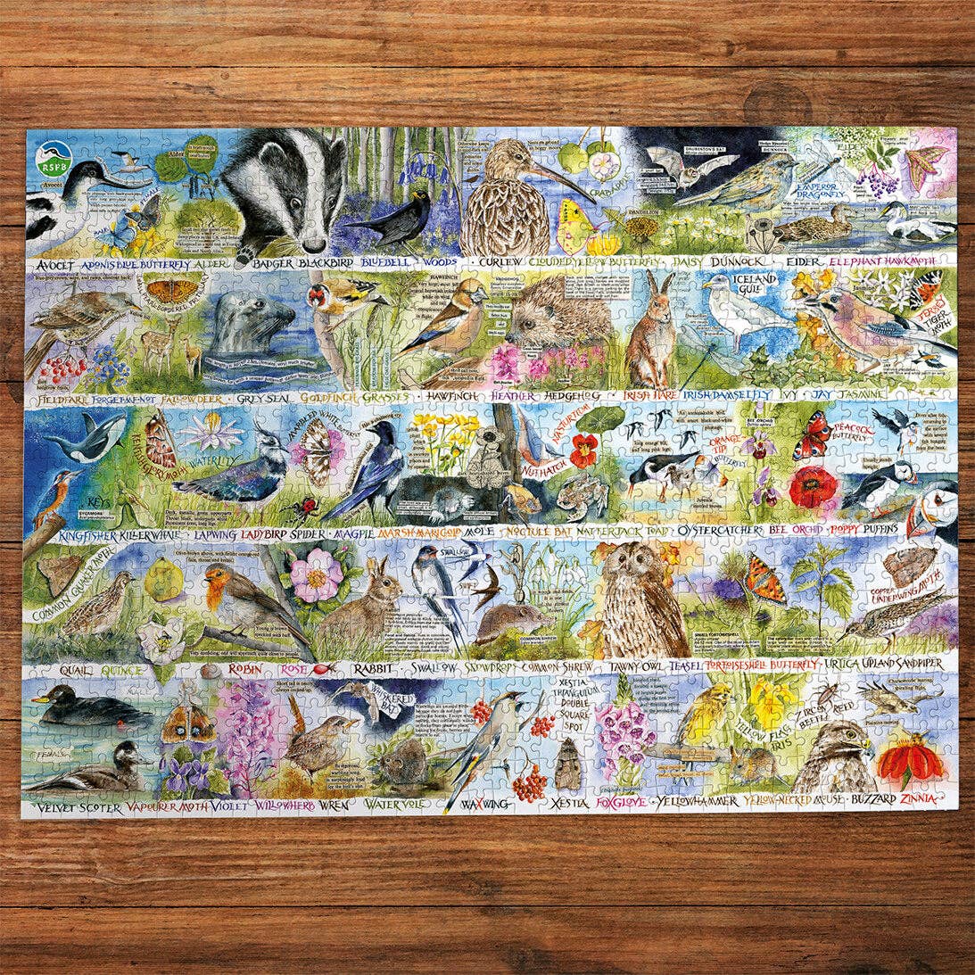 Gibsons Games Ltd – wholesale Puzzle – Adult – RSPB Birdsong & Bluebells 1000 Piece Jigsaw Puzzle2
