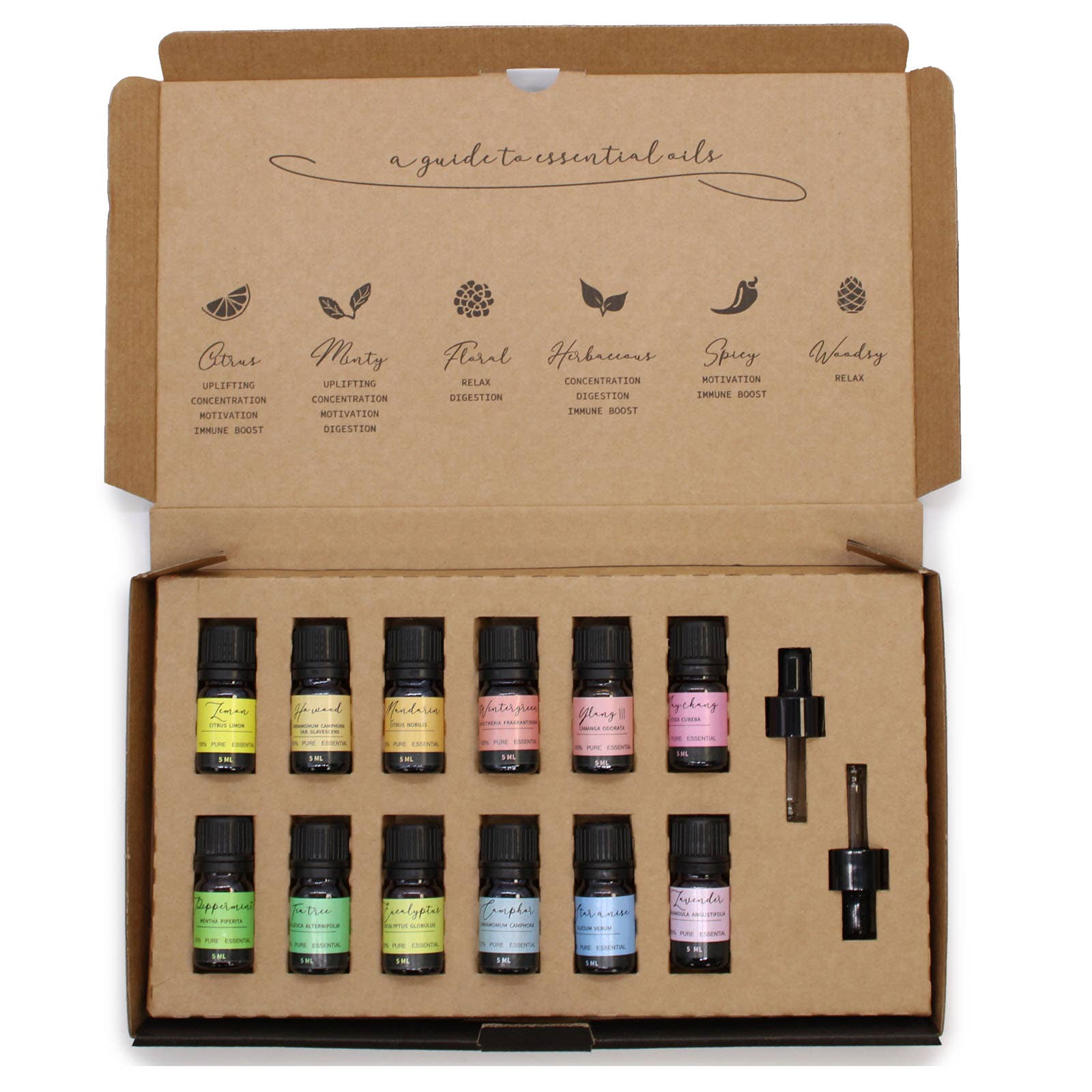 Ancient Wisdom - Wholesale Essential Oil - Aromatherapy Essential Oil Set - Starter Pack2