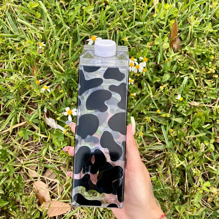 Paulakoalaco - Vendita all'ingrosso Borracce - Cartone di latte di mucca