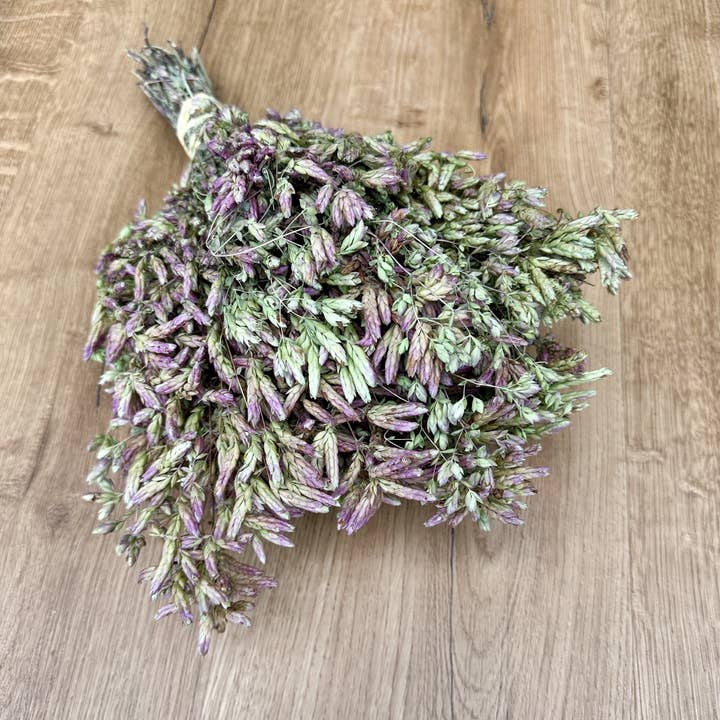 Lovejoy Farms Premium Dried Flowers - Wholesale Dried/Pressed Flowers - Santa Cruz Oregano
