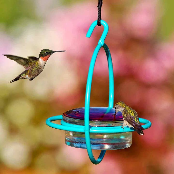 Mosaic Birds Hummble Bold Hummingbird Feeder Aqua for wholesale by Couronne Co.