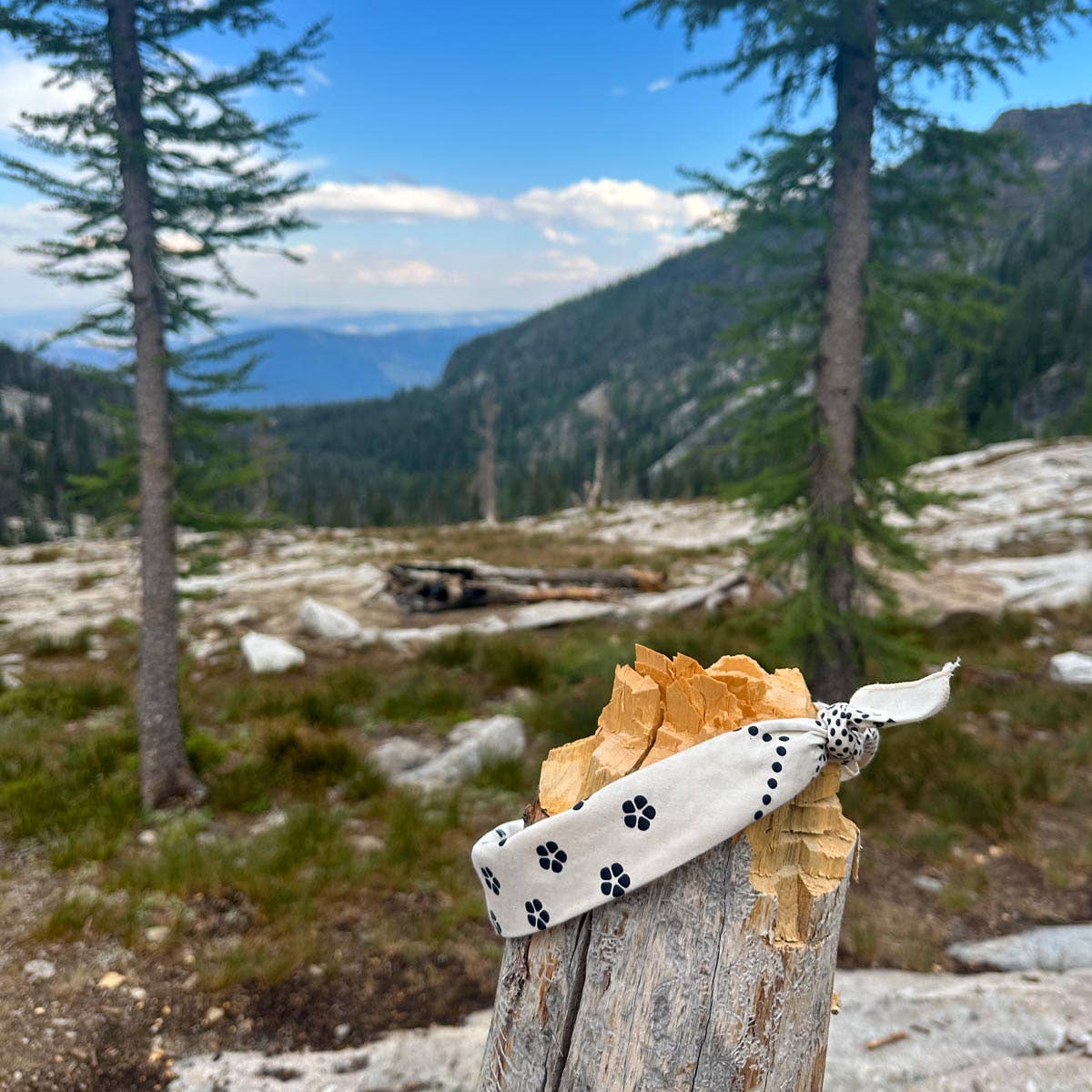 Mister Bandana - Wholesale Bandana - Unisex - Sakura5