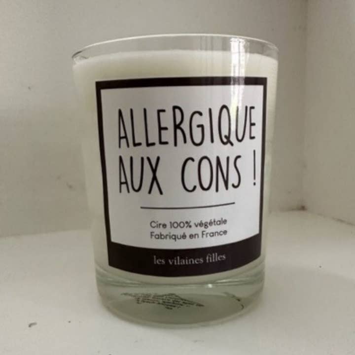 Les Vilaines Filles - Wholesale Jar/Filled Candle - Scented candle "Allergic to Jerks"0