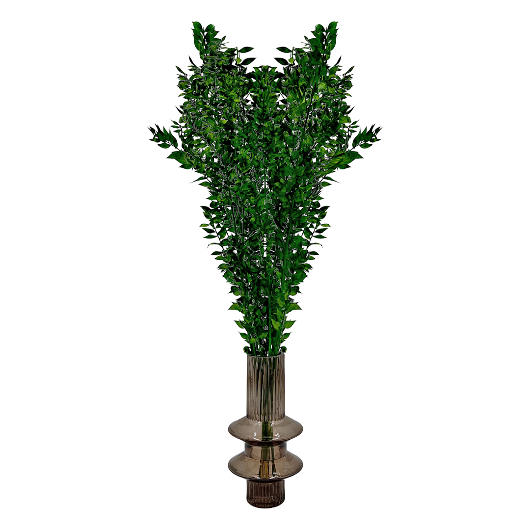 2626 Designs - Vendita all'ingrosso Piante artificiali - Ruscus conservato lungo 56-61 cm23