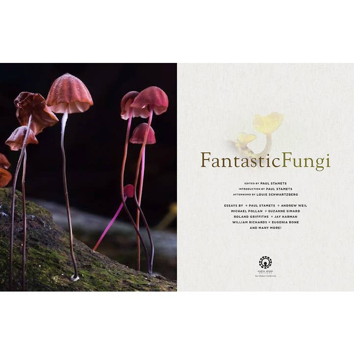 Insight Editions - Wholesale Book - Adult - Fantastic Fungi