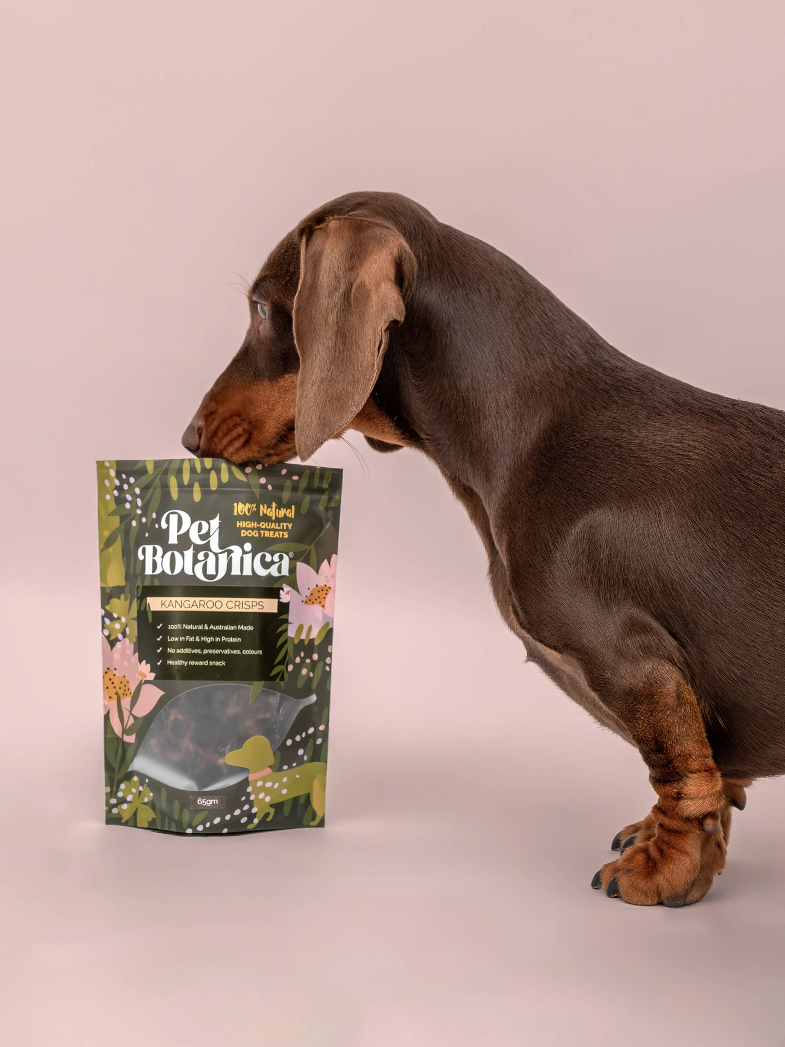 Pet Botanica - Wholesale Pet treats – Dog - Kangaroo Crisps Dog Treats | Australian-made Pet Treats3