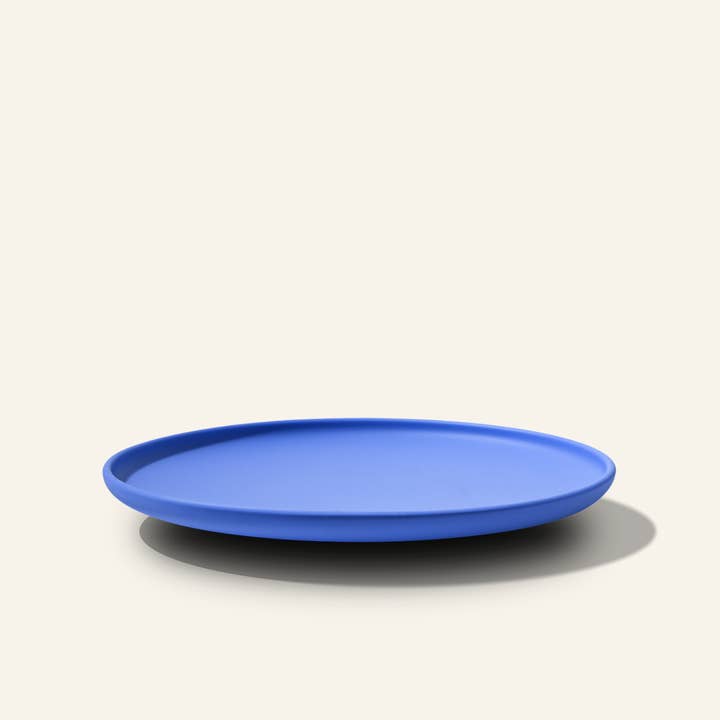 Ribbon - Wholesale Dish - 100% Platinum Food-grade Silicone Plate
