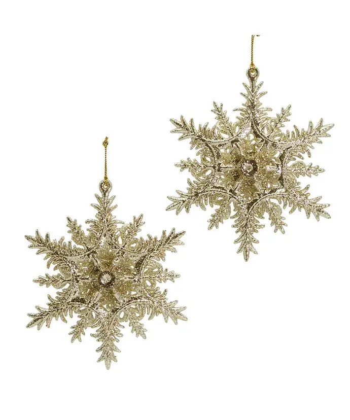 Kurt S. Adler, Inc. - Wholesale Ornament Set - 5.5"PLASTIC PLAT SNOWFLAKE ORNAMENT 2/A2