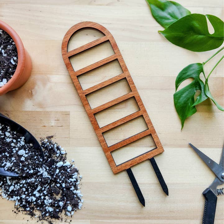 Ladder-Style Arch Trellis - for Indoor Plants (2 Sizes) for wholesale by Leaf & Node