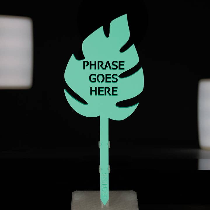 Honeys Plant Climbers - Wholesale Garden/lawn stake - Plant Stake - In My Plant Era Collection4