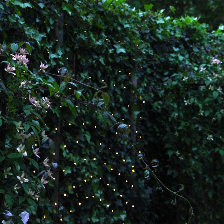 LightsOn - Wholesale Outdoor/Lawn Light - Net5