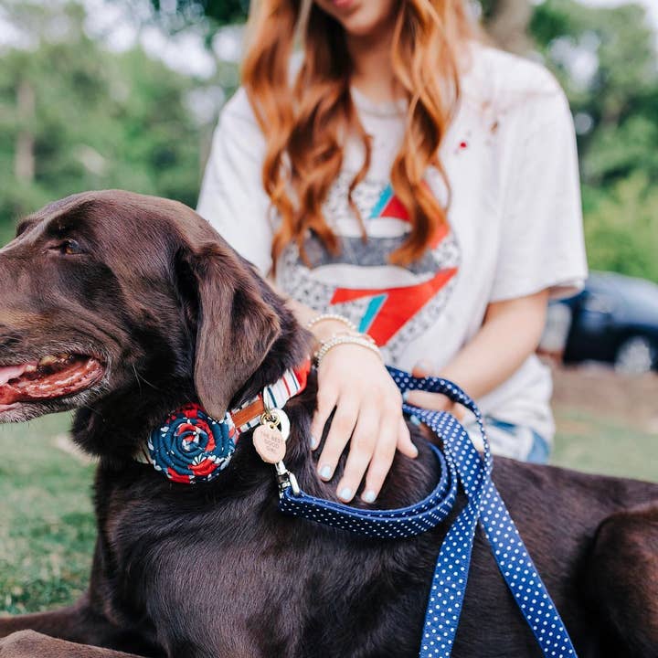 Freshwater Curated Goods - Wholesale Pet Identification Tag - Cat/Dog - The Best Good Girl Pet Tag3