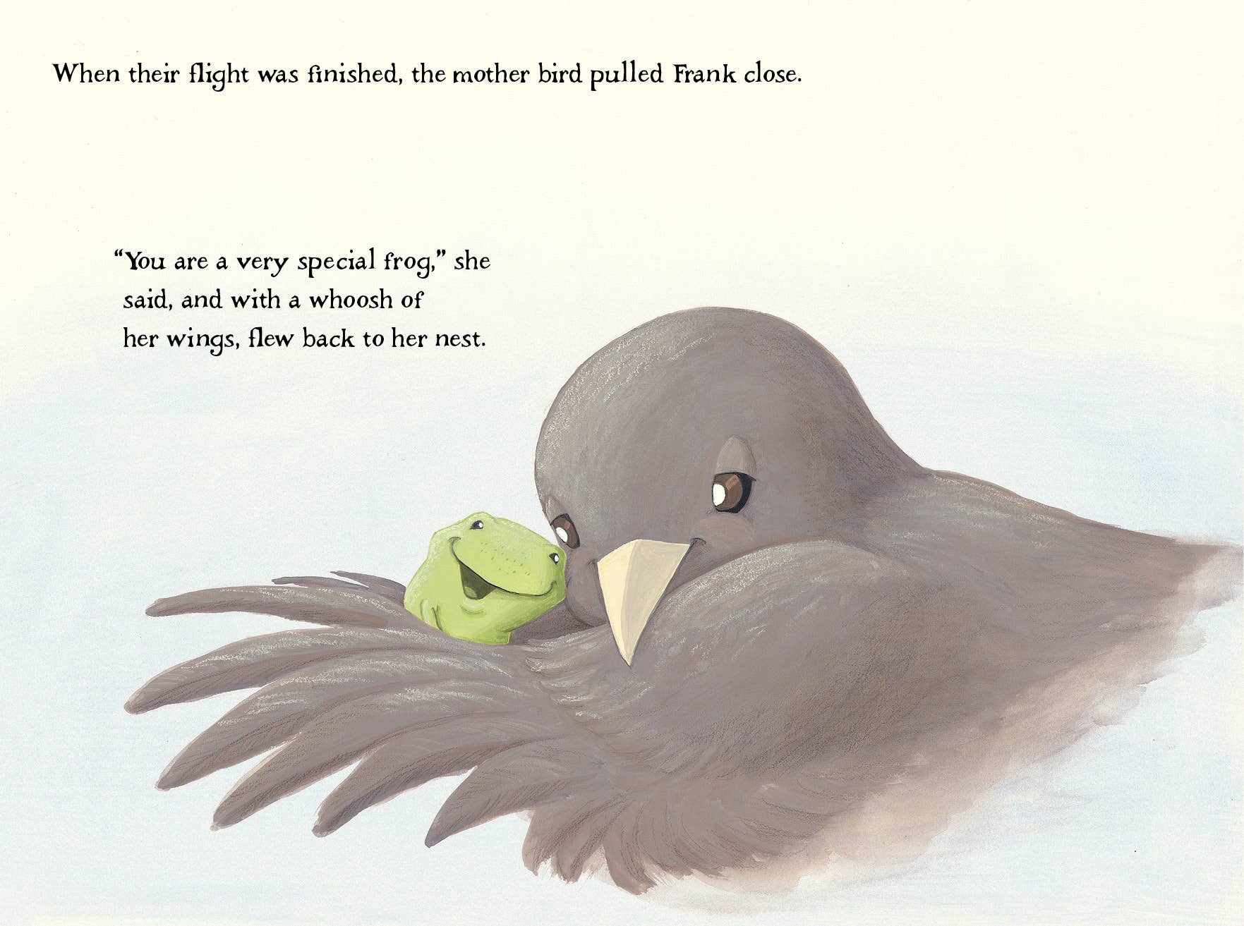 REMOVED BRAND - Wholesale Preschool Book (3-5) - A Frog Thing7